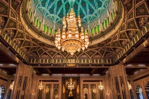 Muscat: VIP Dolphin Watching and Snorkeling Trip