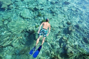 Da Muscat: gita di snorkeling (gita all'isola di Dimaniyat)