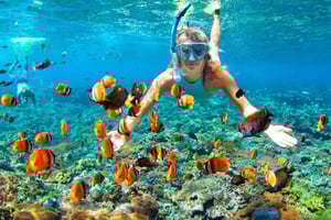 Desde Ras Al Khaima : Avistamiento de Delfines y Safari por Jabal Harim