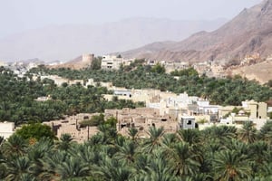 Excursión de un día completo a Birkat Almouz&Zoco de Nizwa&Fuerte&Falaj Daris.