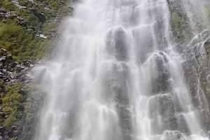 Udforsk Salalah Wadi Darbat og Mount Samhan – Halvdagstur