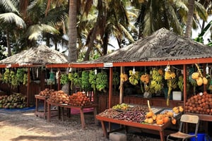Passeio pela cidade com guia local: património e cultura