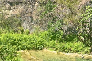 Hike to Hidden Waterfalls – Ayn Ghedh Adventure