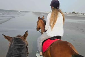 Al Sawadi Beach: Scenic Horseback Riding Experience in Oman