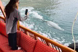 Khourshem Fjords Cruise with Snorkeling