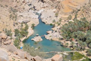 Fra Muscat: 2 dage, 1 nat i Wahiba Sands