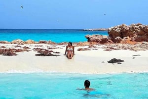 Masqat: Daymaniyat-saarten luonnonkaunis venekierros noudolla