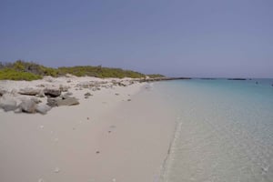 Mascate: Excursión de snorkel a las Islas Daymaniyat con QTours