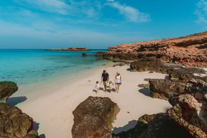 Maskat: snorkeling i kajak z żółwiami w Daymaniyat