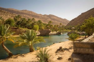 Muscat: Wahiba Desert and Wadi Bani Khalid Guided Group Tour