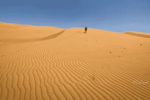 Muscat: Wahiba Sands-ørkenen og Wadi Bani Khalid - heldagstur