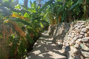 Nizwa y el valle de Misfat Al Abreen