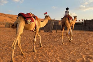 Oman: 4-dagars tur till Wadi, Sur, öknen, Nizwa och Muscat