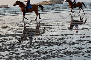 Horse riding in muscat beach