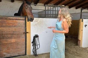 Oman-Salalah: Sunset Beach Horseback Ride with Hotel Pickup