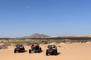 Oman Wahiba Sands ATV Safari: 400 km heldagstur til stranden