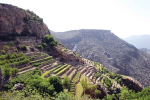 Privat dagsomvisning i Nizwa, Jabel Akhdar