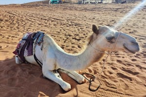 Desierto Privado de Día Completo con Observación de la Puesta de Sol