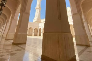 Visite citadine de Salalah : mosquée, projet Al Gharif et ferme royale