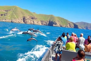 Salalah: tour en barco para ver delfines con recogida