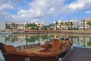 Salalahin delfiinien tarkkailu venekierros virvokkeilla