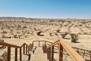 Salalah: safári no deserto de dia inteiro com almoço