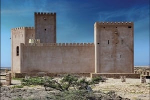 Salalah: Tour de un día completo por el mágico Dhofar con almuerzo