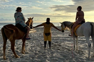 Salalah Horse Riding on the Beach optional Hotel Pick & Drop