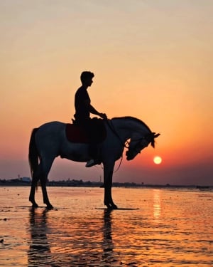 Horse Riding Oman