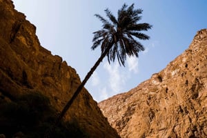Wadi Shab: Adventure Tour With Cave Swim & Waterfall Visit