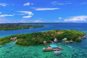 Bocas del Toro : Dolphin Bay, chocolaterie et snorkeling