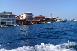 Bocas del Toro : Zapatilla Key, Dolphin Bay, Coral Key
