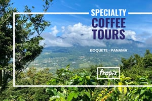 Boquete, Panama : visite privée sur le thème du café