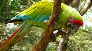 El Nispero Zoo and Botanical Garden