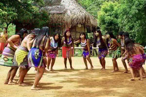 Embera Dorp & Waterval Regenwoud Tour met Lunch & Ophaalservice