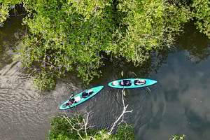 Kayak tour in the mangroves of David, Chiriquí