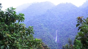 La Amistad International Park (PILA)