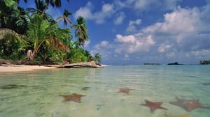 Las Estrellas Strand