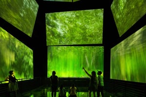 Panama City: Miraflores-slusen og Biomuseo privat tur