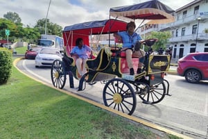 Panama : visite guidée en calèche dans la vieille ville.