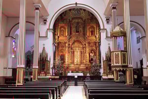 Panama by: Halvdagstur med inngang til kanalen og BioMuseo-parken