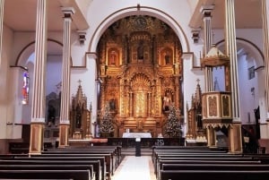 Ciudad de Panamá: tour de medio día por la ciudad, entrada al canal y parque BioMuseo