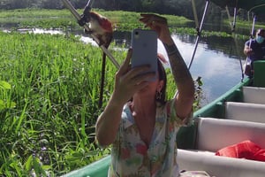 Panama: Monkey Island Gatúnmeer boottocht