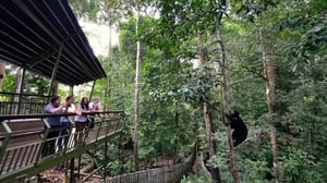 Panama Rainforest Discovery Center
