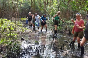 Portobelo: een Caribisch avontuur van natuur en geschiedenis