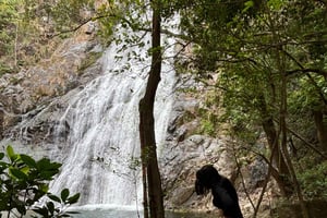 Expererencia de senderismo con transporte incluido