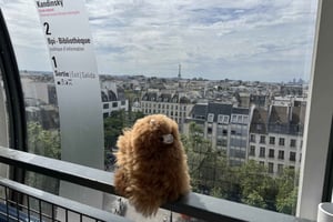 Centre Pompidou: 3h yksityinen opastettu kierros.