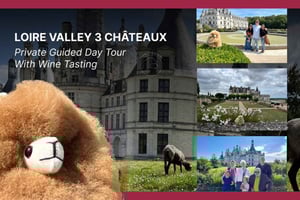 Escursione di un giorno ai castelli della Loira e degustazione di vini