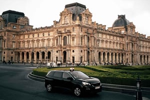 Tour exclusivo do Louvre – Guia particular e serviço de busca no hotel em Paris