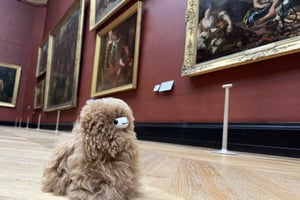 Billets d'entrée au musée du Louvre et visite guidée privée